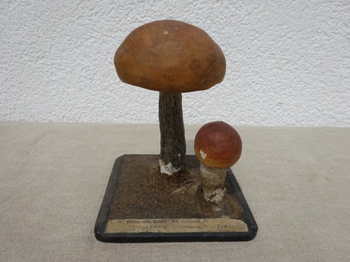 Altes pilz modell - altes,