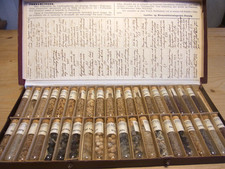 Alte Samen und Saatgut