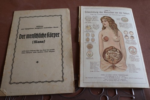 Zwei alte anatomische - zwei,