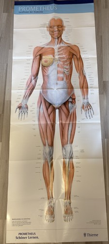 Prometheus lernposter der - lernposter,