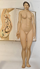 Buch PLATEN DIE NEUE