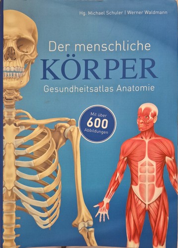 Der menschliche körper - menschliche, –