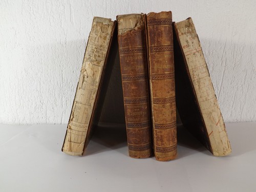 Julius scheff handbuch - julius, der