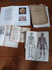 5 alte bücher medizin botanik