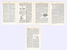 ARZT & APOTHEKER Injektion