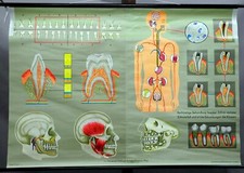 vintage Rollkarte menschlicher