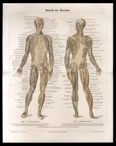 Original lithographie von 1896 - lithographie,