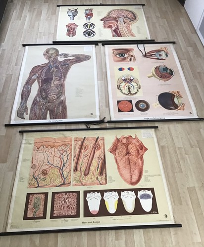 Lehrtafeln medizin uni - lehrtafeln:,