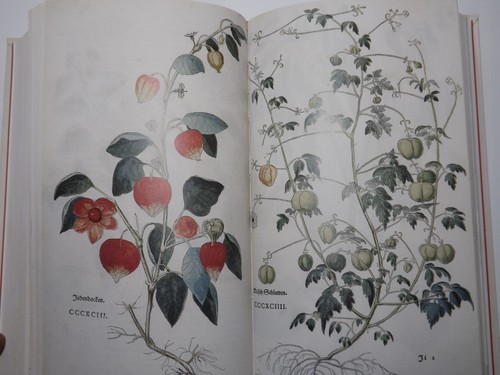 Leonhart fuchs kräuterbuch - fuchs,