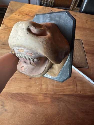 Altes lehrmodell maul - lehrmodell, und
