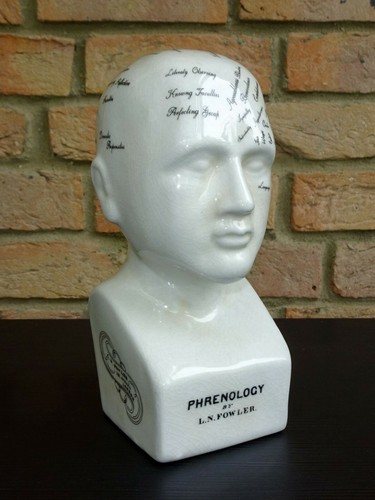 Phrenologie kopf fowler - kopf, l.n.