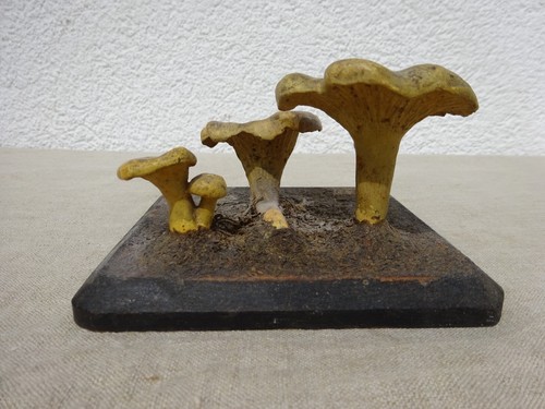 Altes pilz modell - modell, 3