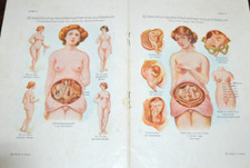 Sexualfragen Dr. Med. Jenny