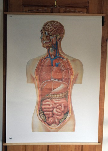 Deutsches hygienemuseum - deutsches,