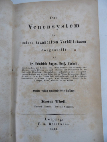 Venensystem seinen - venensystem, in