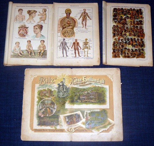 Impfschäden syphilis anatomie - impfschäden,