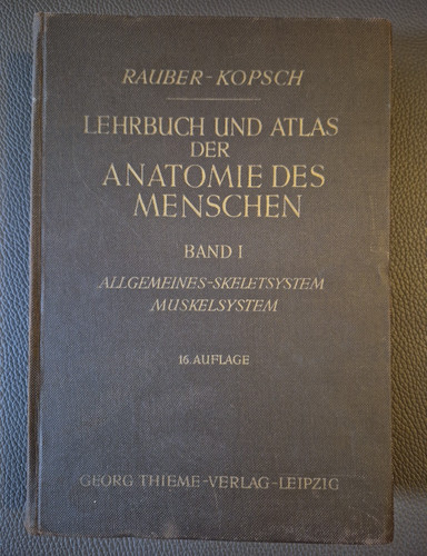 Rauber kopsch anatomie - rauber-kopsch, des
