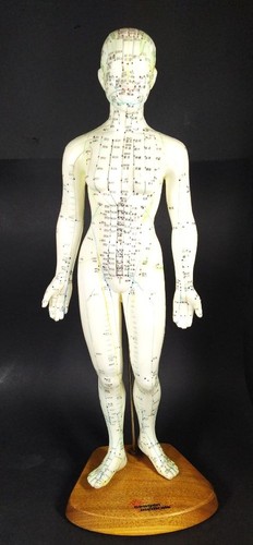 Lernmodell akupunktur i - i,