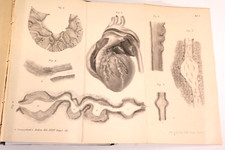 Buch Klinische Chirurgie