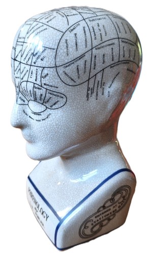 Phrenology fowler keramik - phrenology,